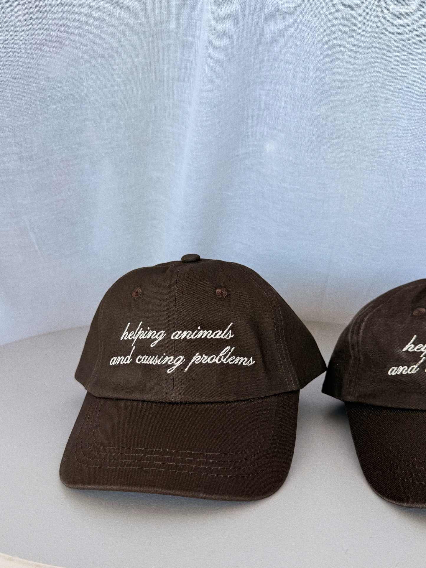 Helping Animals & Causing Problems Brown Dad Hat