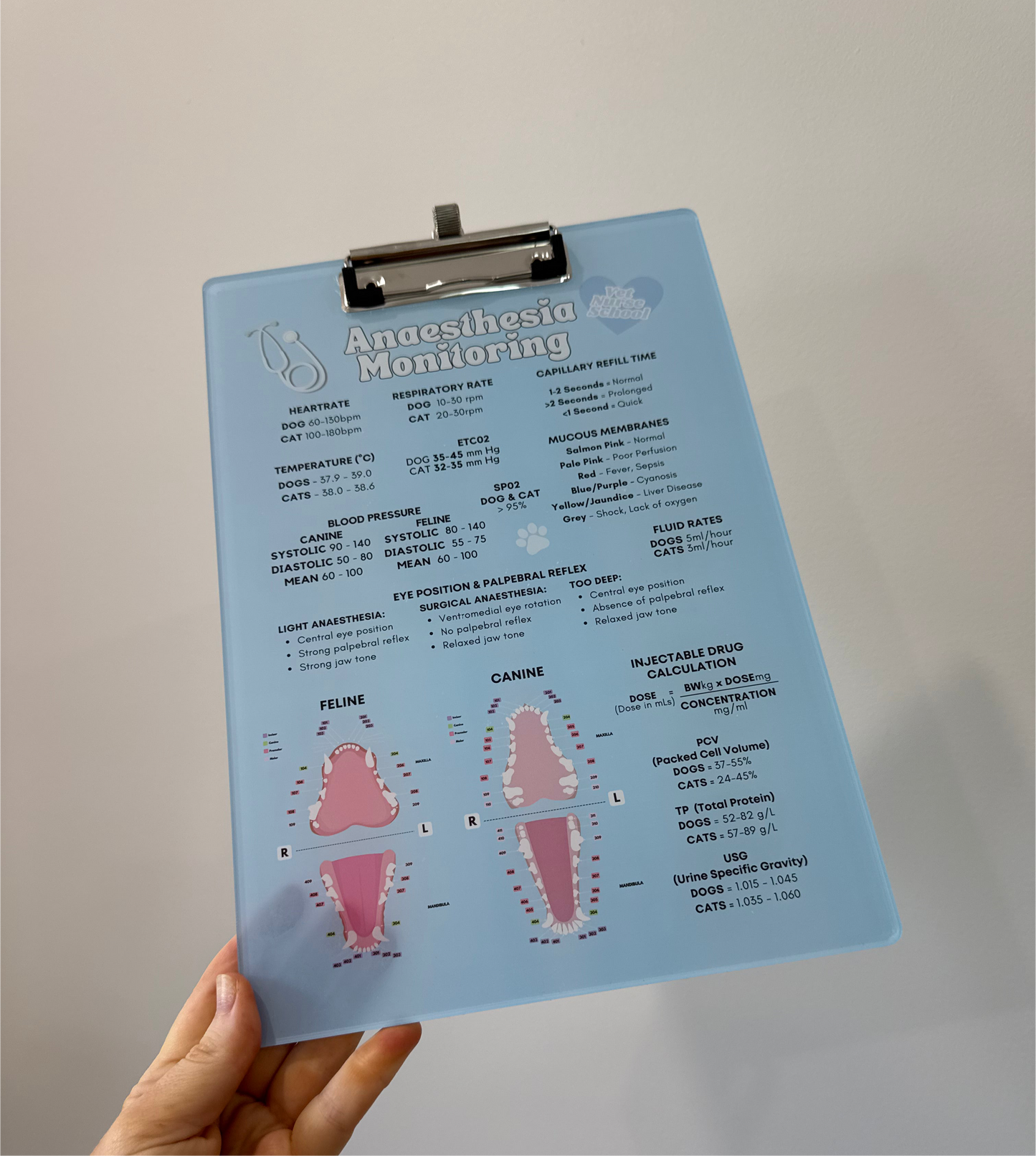 Anaesthetic Monitoring Clipboard - Blue