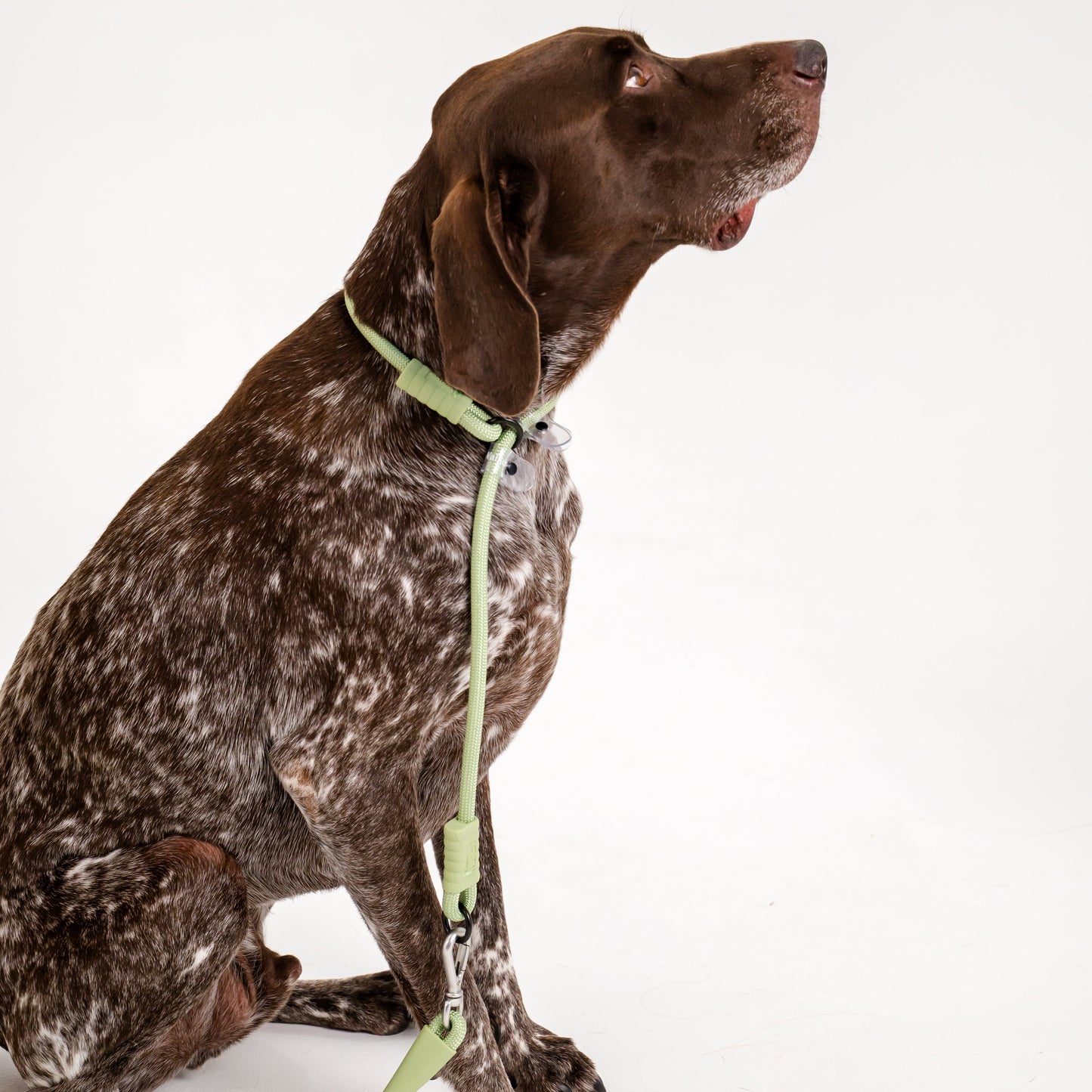 Vet Nurse Essentials - Matcha Bundle