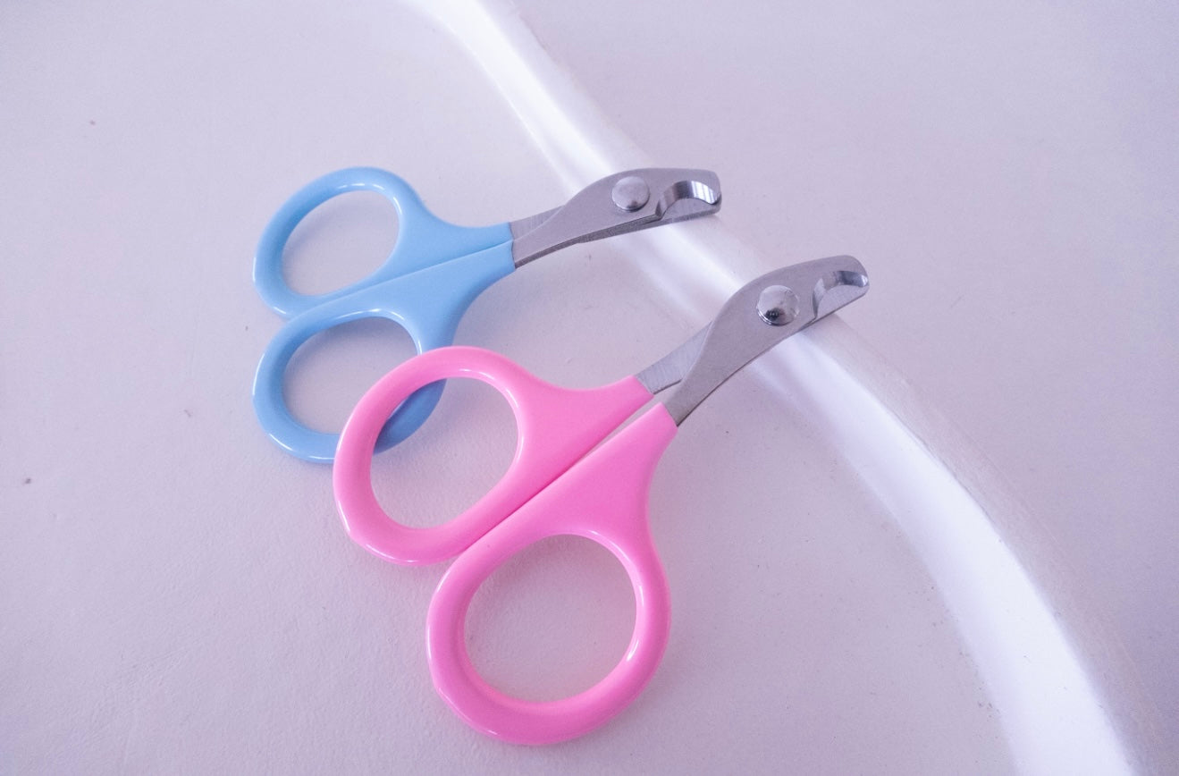 Small Nail Clippers - Blue