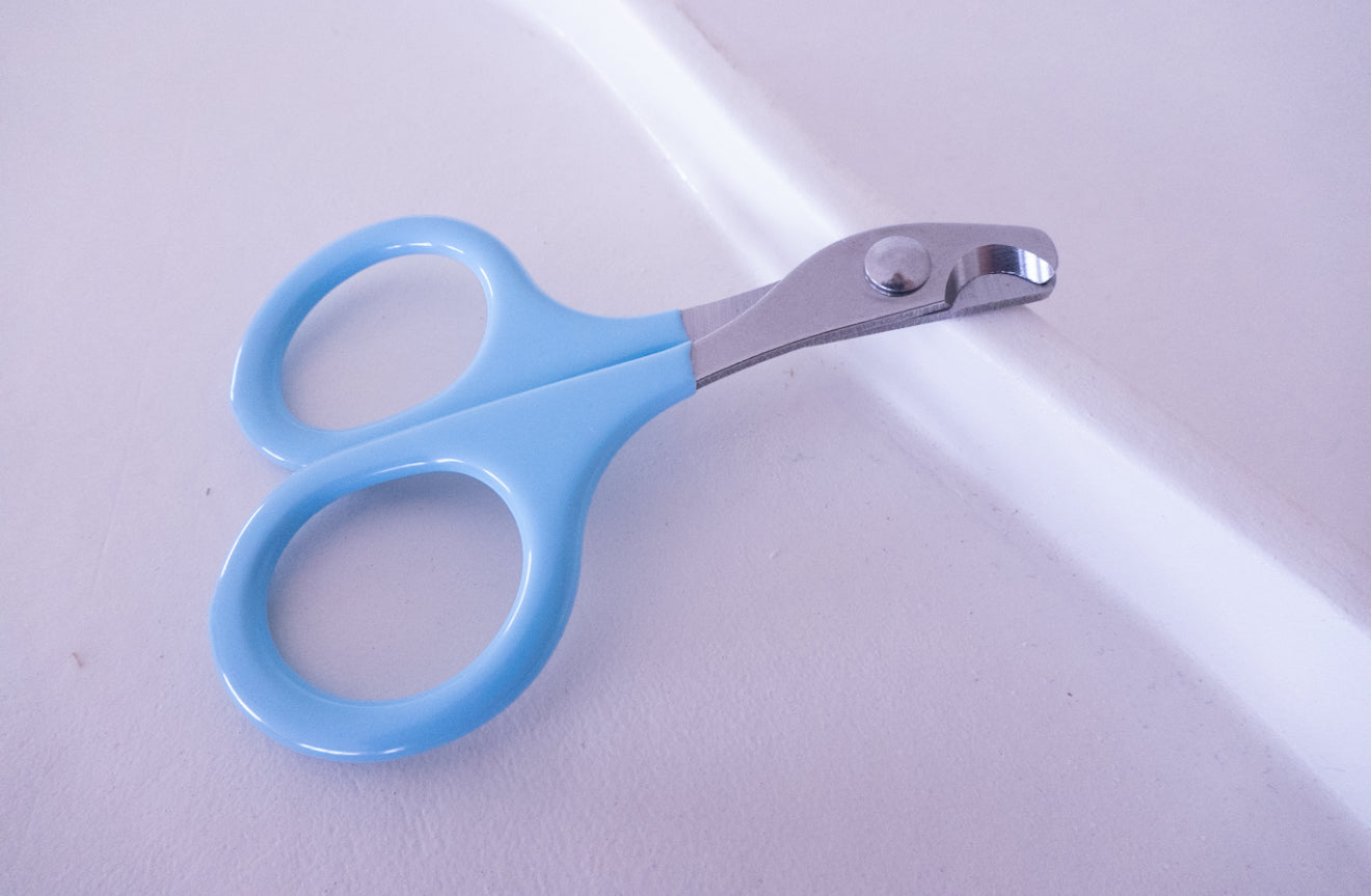 Small Nail Clippers - Blue