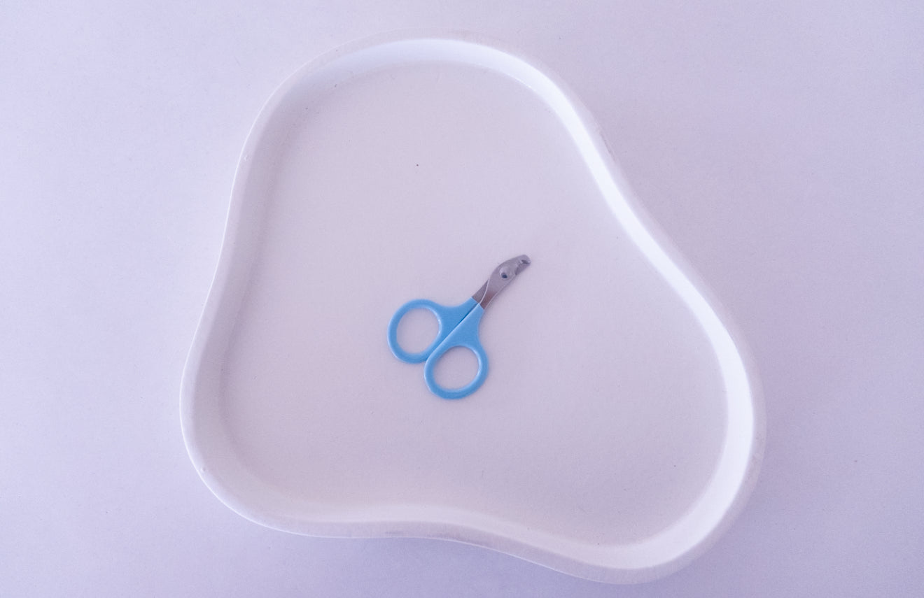 Small Nail Clippers - Blue