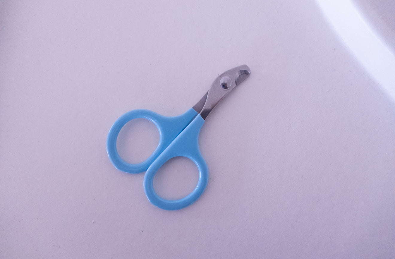 Small Nail Clippers - Blue