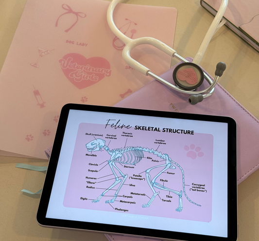 Best Gifts for Vet Nurses in Australia