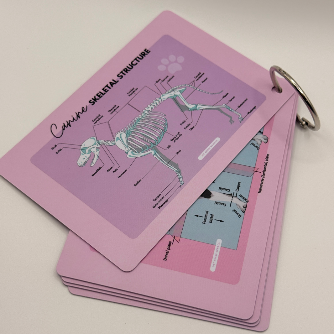 Shop All – Vet Nurse Shop
