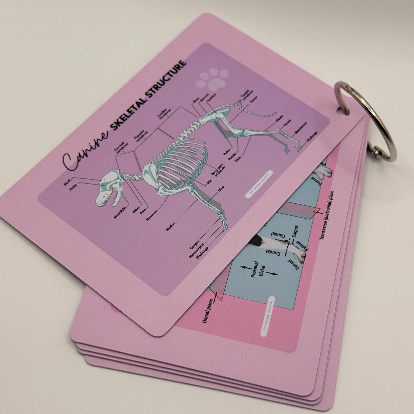 Vet Nurse Pocket Reference Cards - Pink