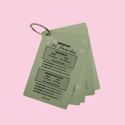 Vet Nurse Pocket Reference Cards - Matcha