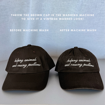 Helping Animals & Causing Problems Brown Dad Hat