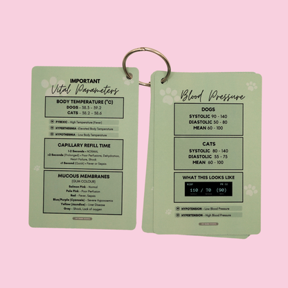 Vet Nurse Pocket Reference Cards - Matcha
