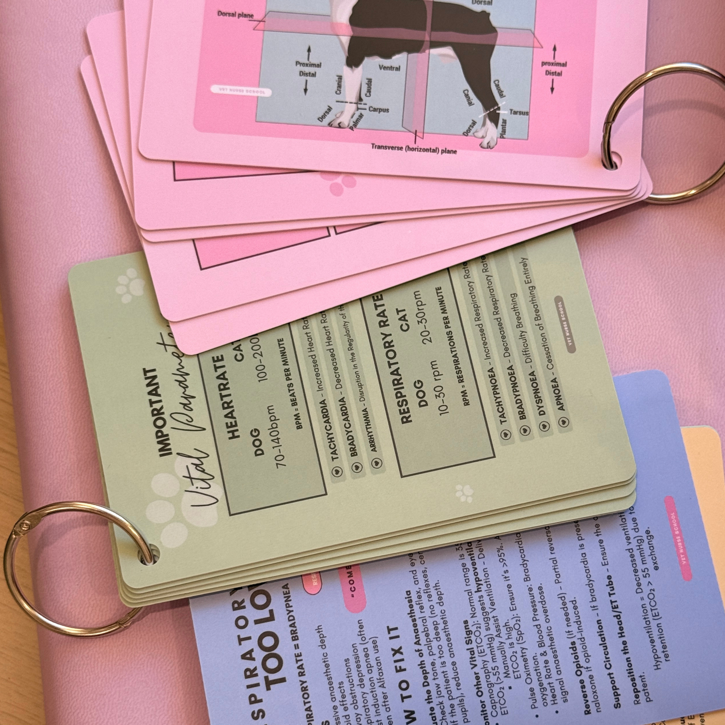 Vet Nurse Pocket Reference Cards - Matcha