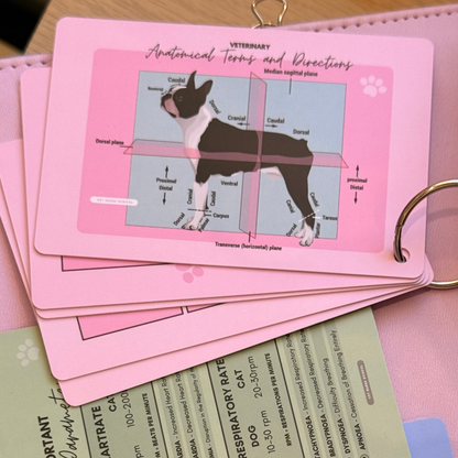 Vet Nurse Pocket Reference Cards - Pink