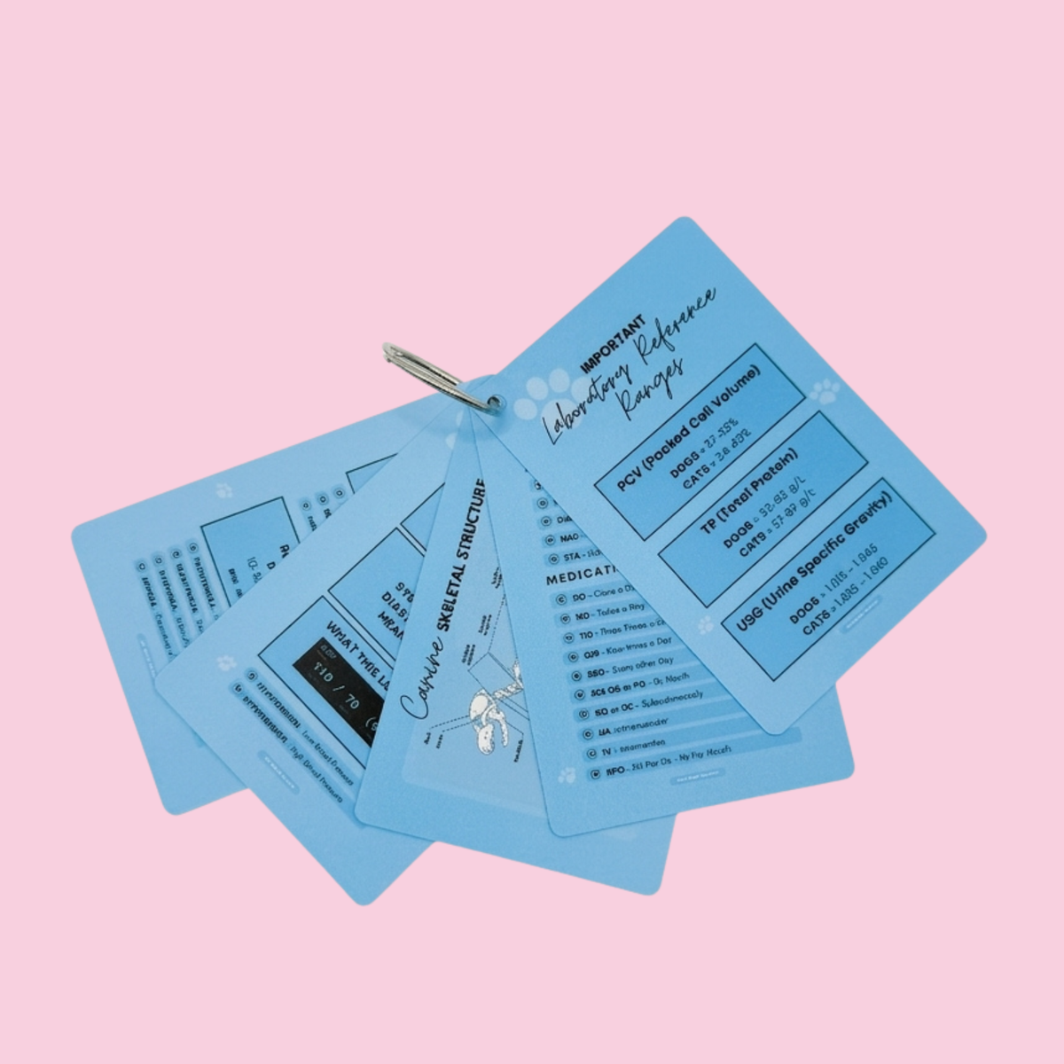 Vet Nurse Pocket Reference Cards - Blue