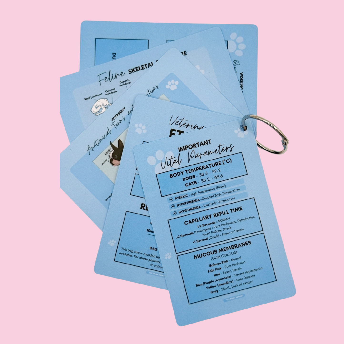 Vet Nurse Pocket Reference Cards - Blue