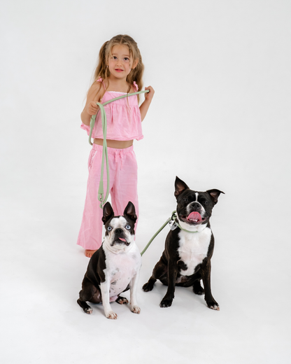 The Walker Vet Nurse Dog Walking Hands-free Leash - Matcha