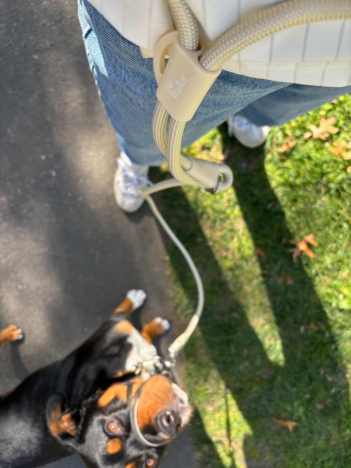 The Walker Vet Nurse Bundle - Cream