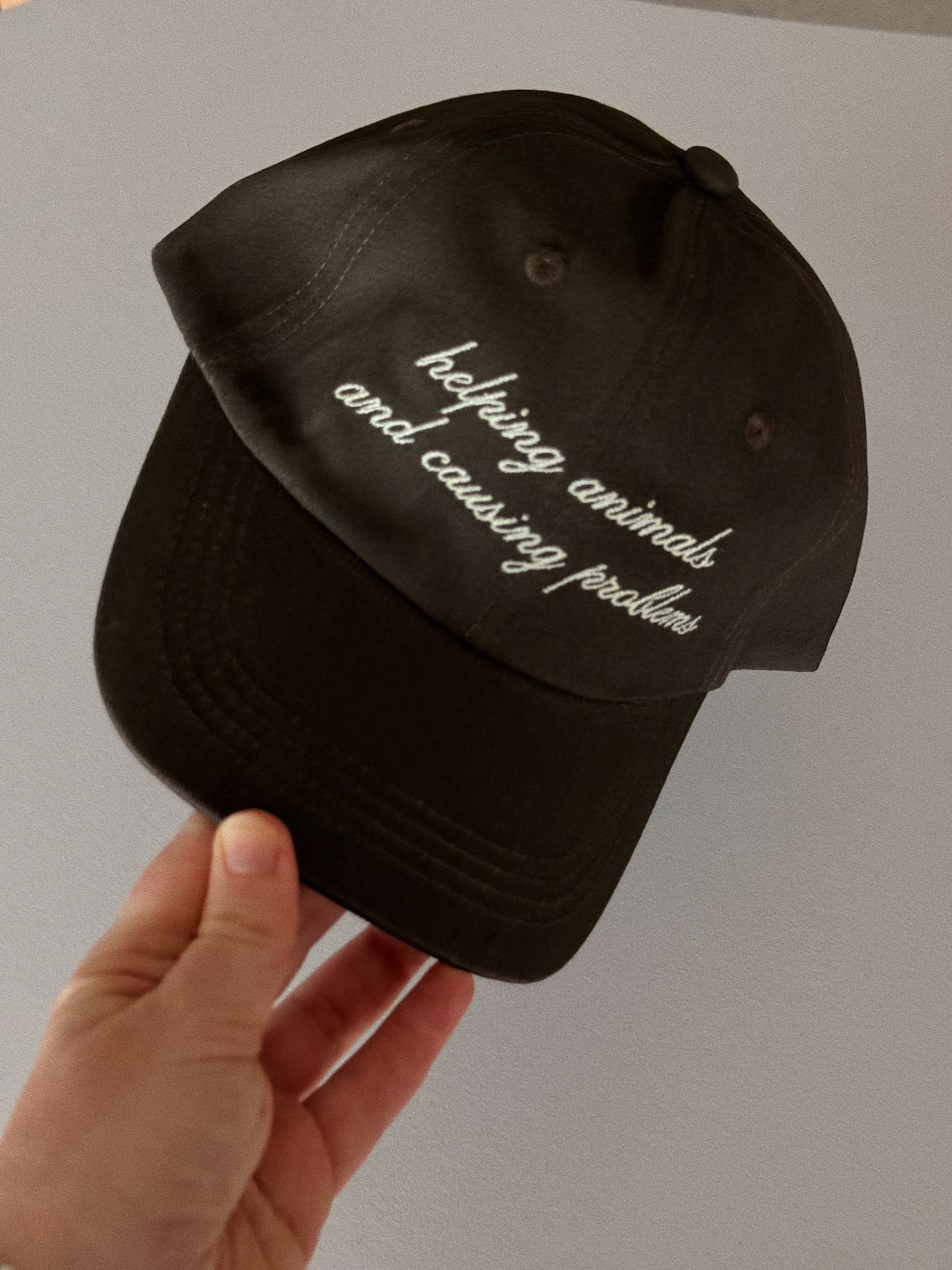 Helping Animals & Causing Problems Brown Dad Hat