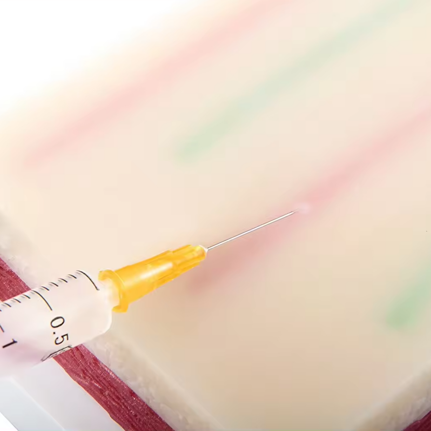 IV Catheter Training Kit