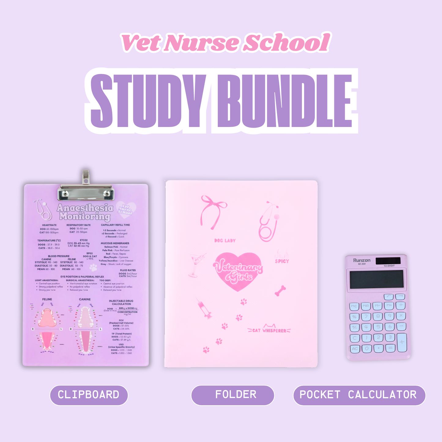 Study Bundle