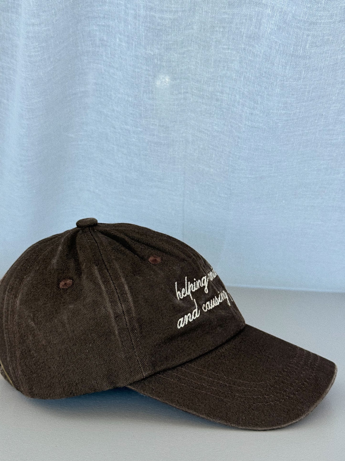 Helping Animals & Causing Problems Brown Dad Hat