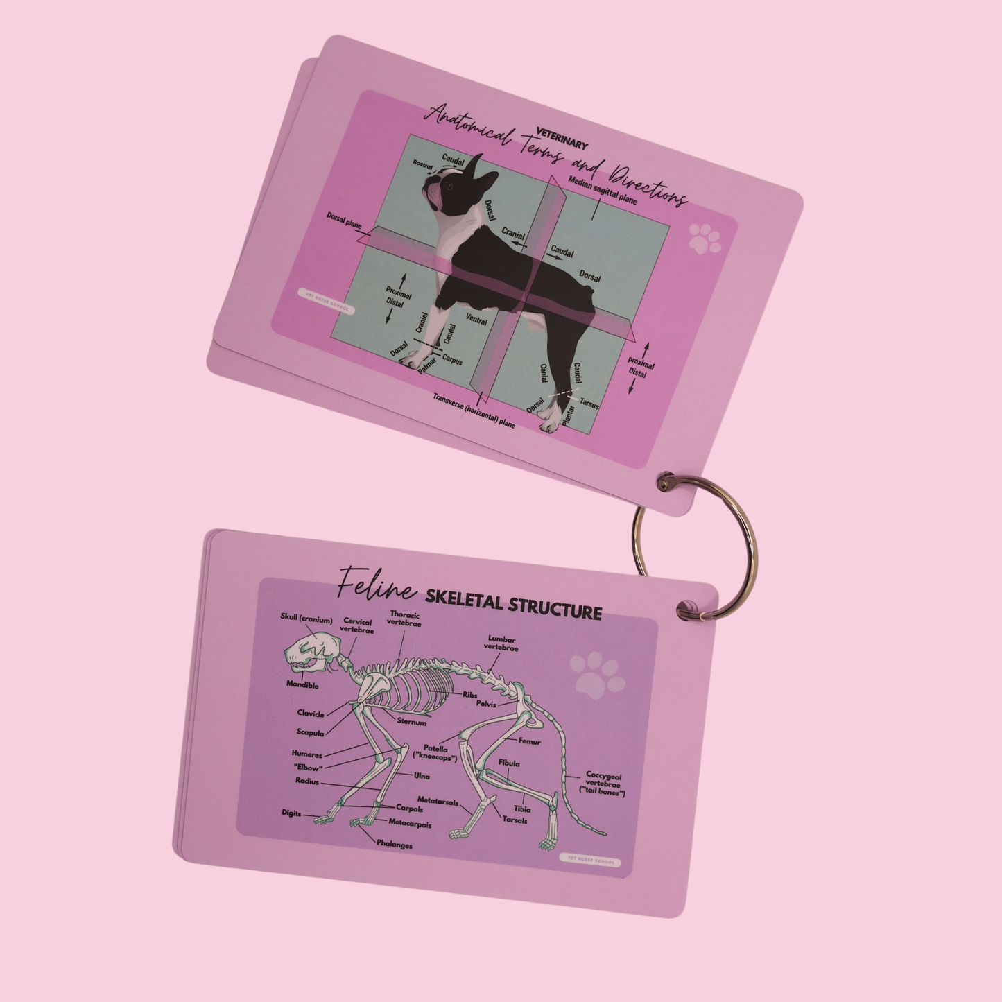 Vet Nurse Pocket Reference Cards - Pink