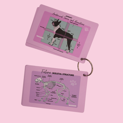 Vet Nurse Pocket Reference Cards - Pink