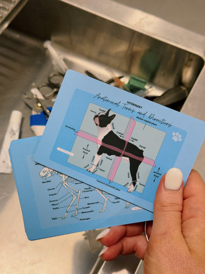 Vet Nurse Pocket Reference Cards - Blue