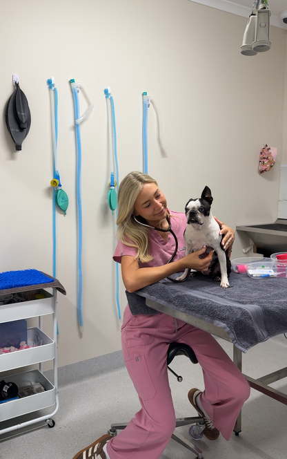 Vet Nurse Stethoscope - Chocolate