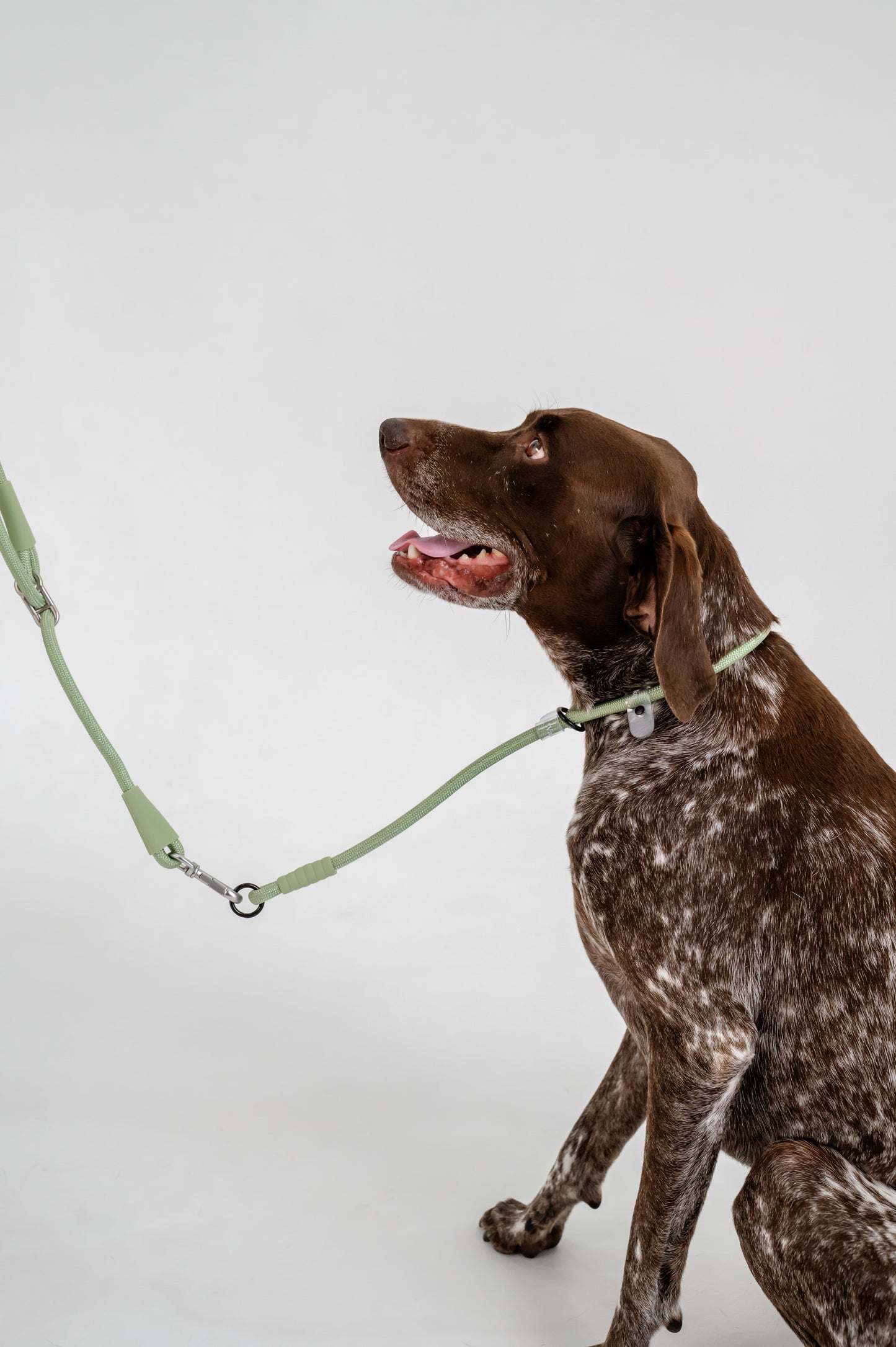 The Walker Vet Nurse Bundle - Matcha Green