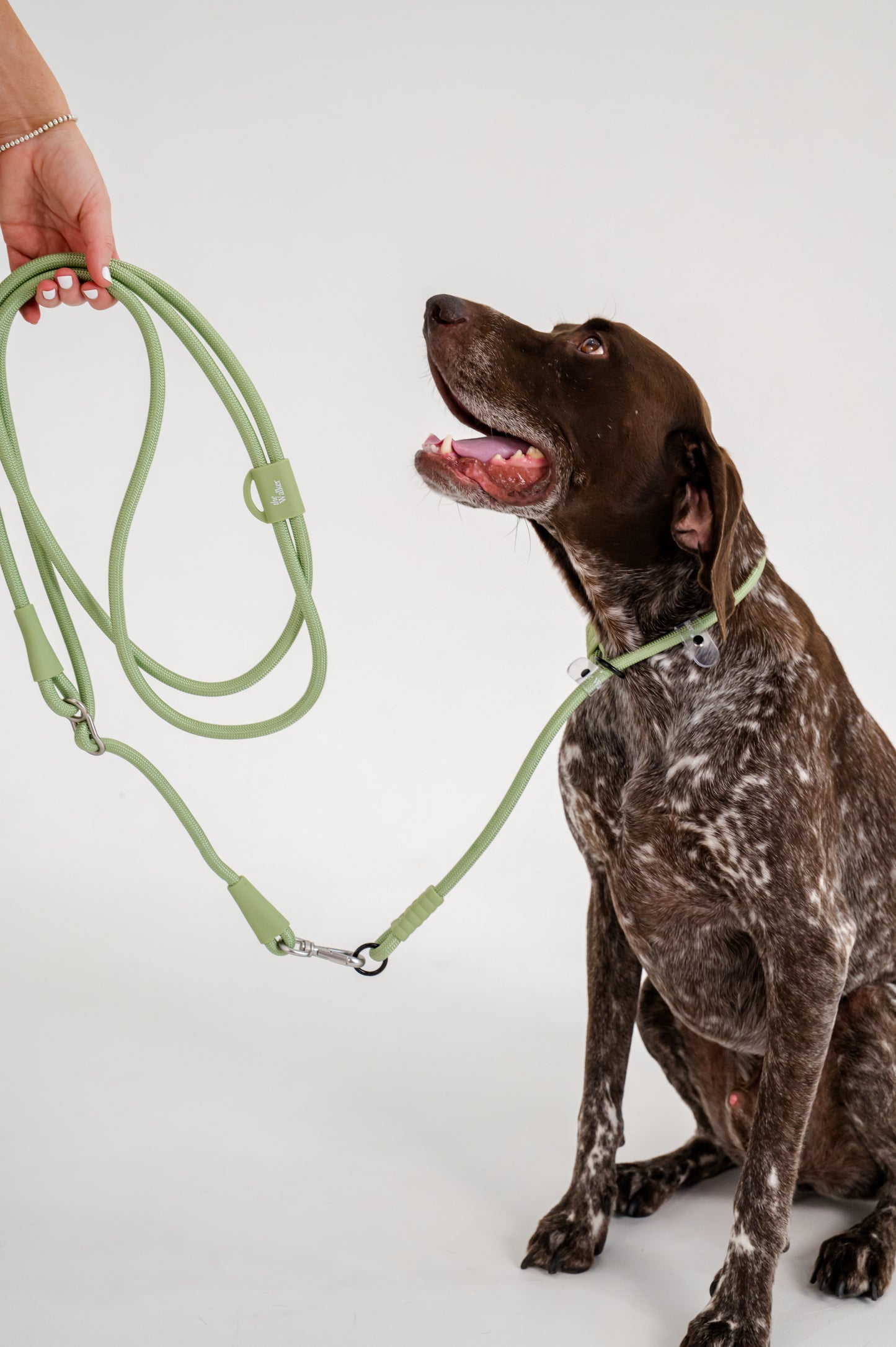 The Walker Vet Nurse Bundle - Matcha Green