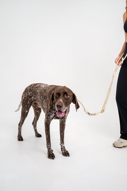 The Walker Vet Nurse Bundle - Cream