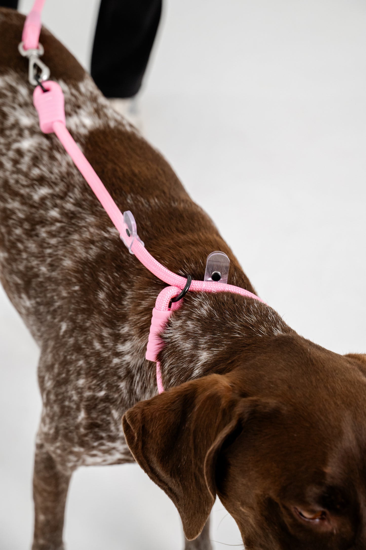 The Walker Vet Nurse Bundle - Pink