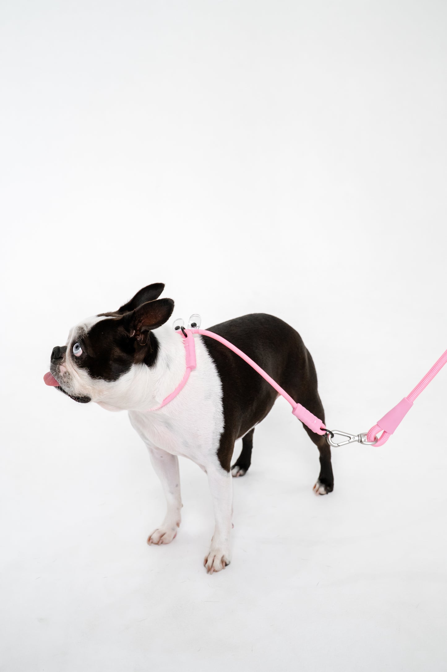 The Walker Vet Nurse Bundle - Pink