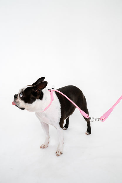 The Walker Vet Nurse Bundle - Pink