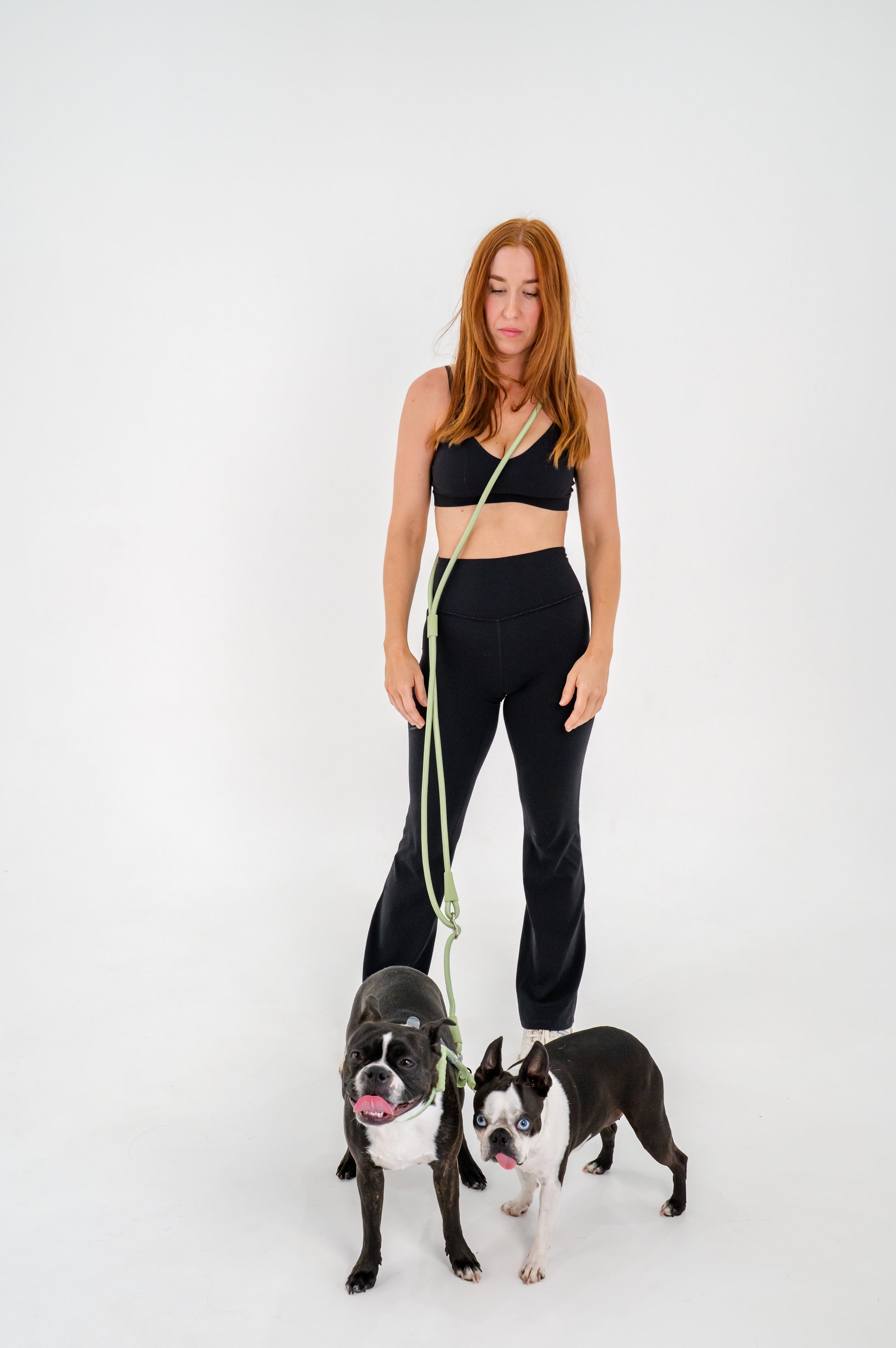 vet nurse hands free dog walking leash vet tech