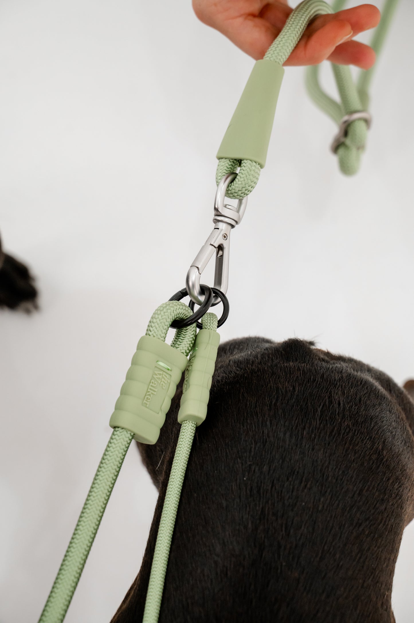 vet nurse hands free dog walking leash vet tech