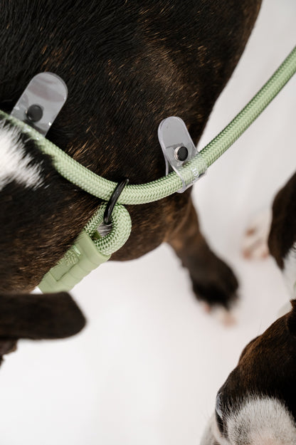 vet nurse hands free dog walking leash vet tech