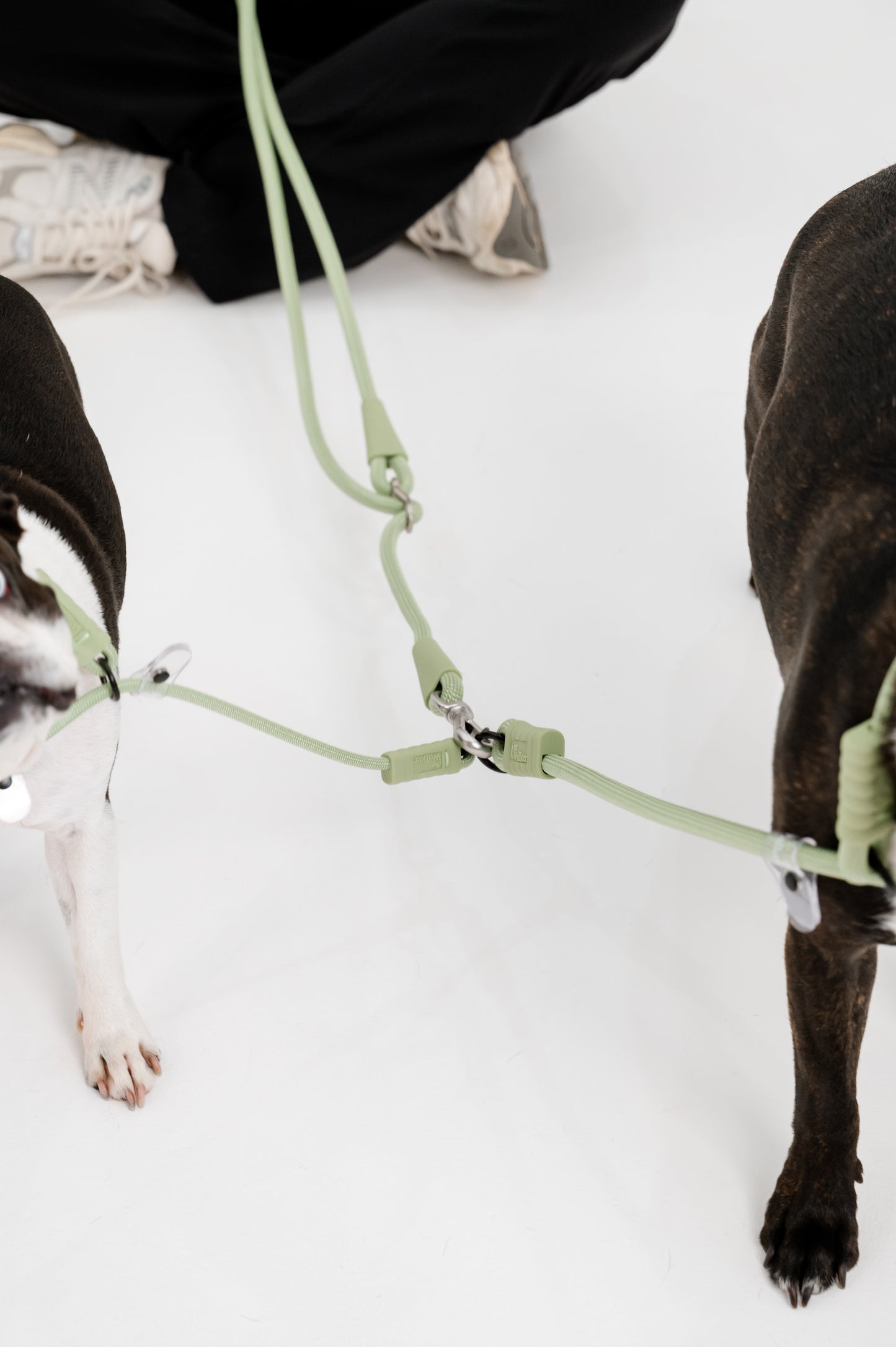 The Walker Vet Nurse Dog Walking Hands-free Leash - Matcha