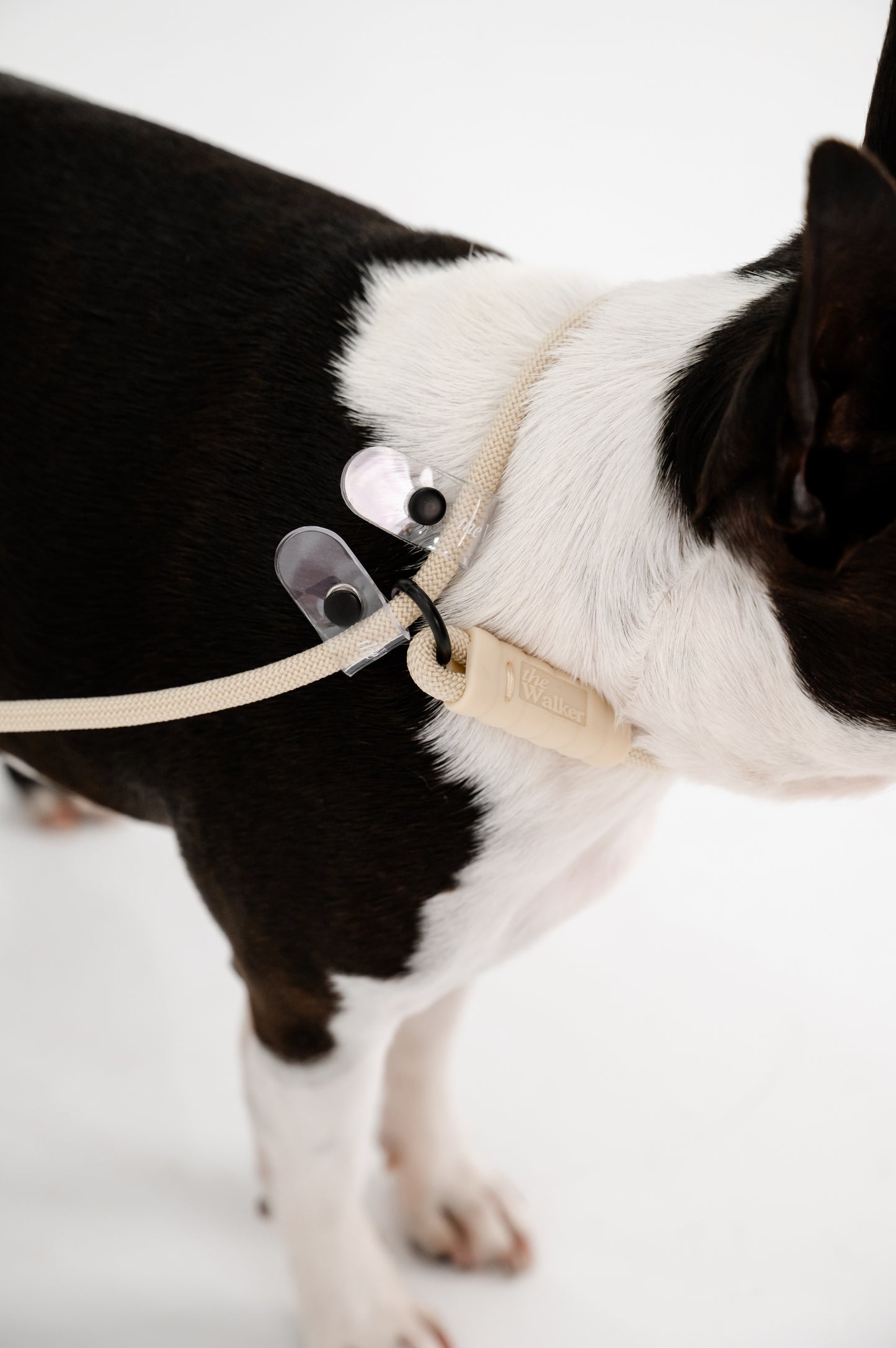 The Walker Vet Nurse Bundle - Cream