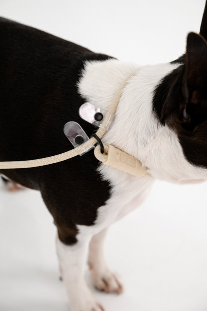 The Walker Vet Nurse Bundle - Cream