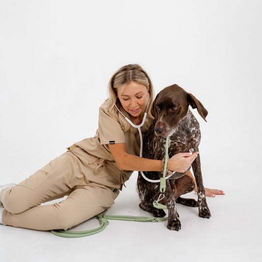 vet nurse tess nolan hands free dog walking leash vet tech