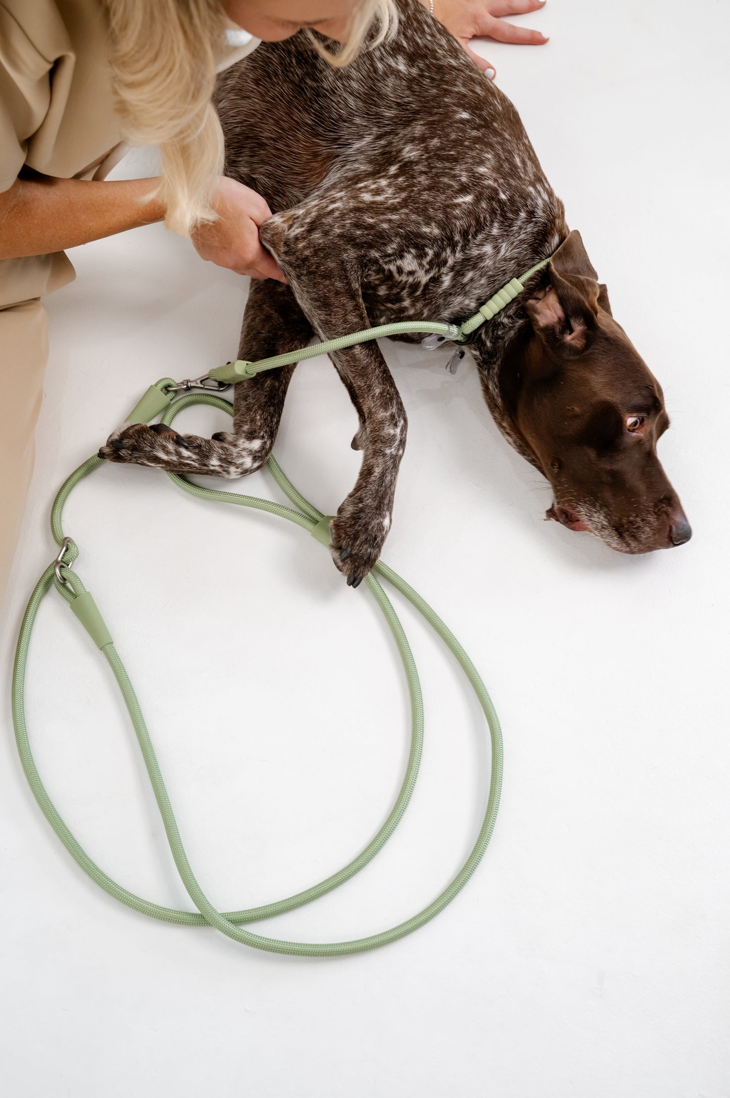 The Walker Vet Nurse Bundle - Matcha Green