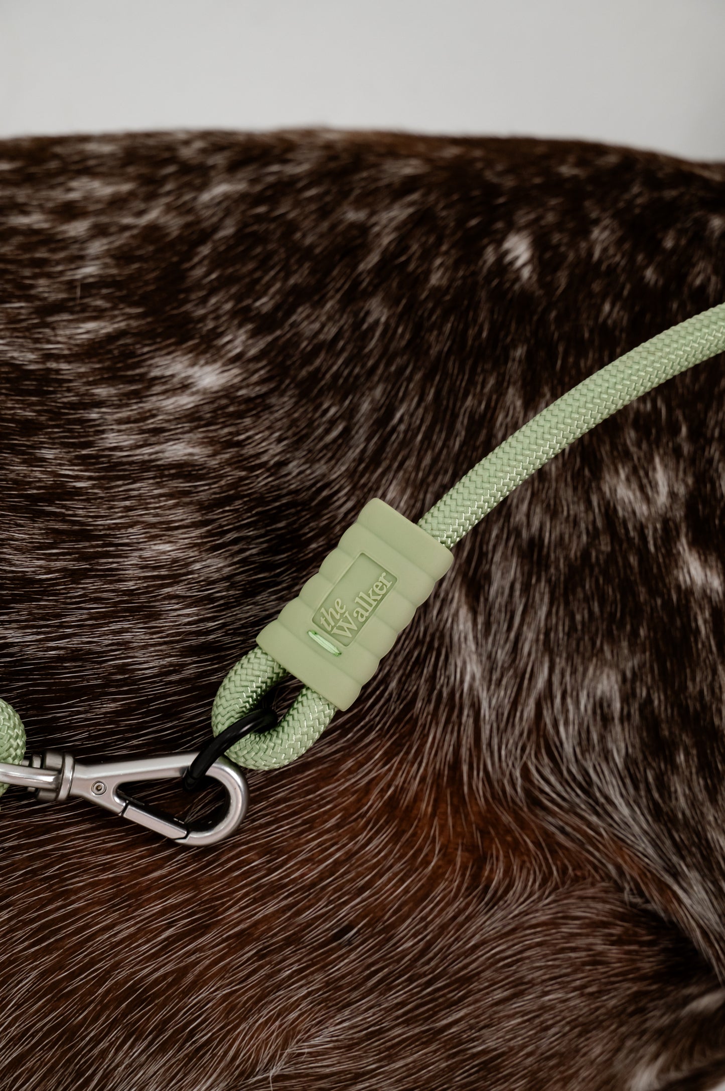 The Walker Vet Nurse Bundle - Matcha Green