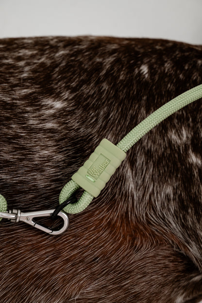 The Walker Vet Nurse Bundle - Matcha Green