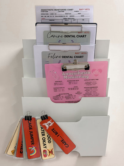 Anaesthetic Monitoring Clipboard - Pink