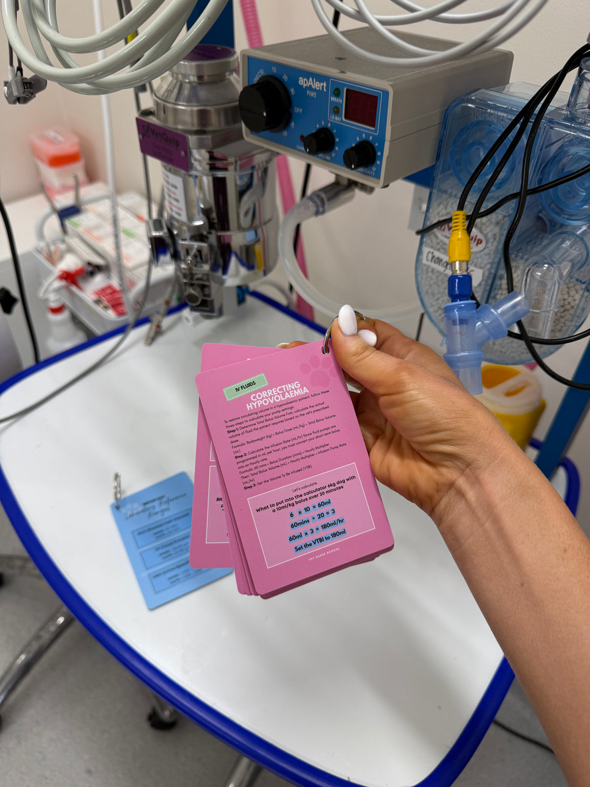 Vet Nurse Pocket Cards - Medical Math