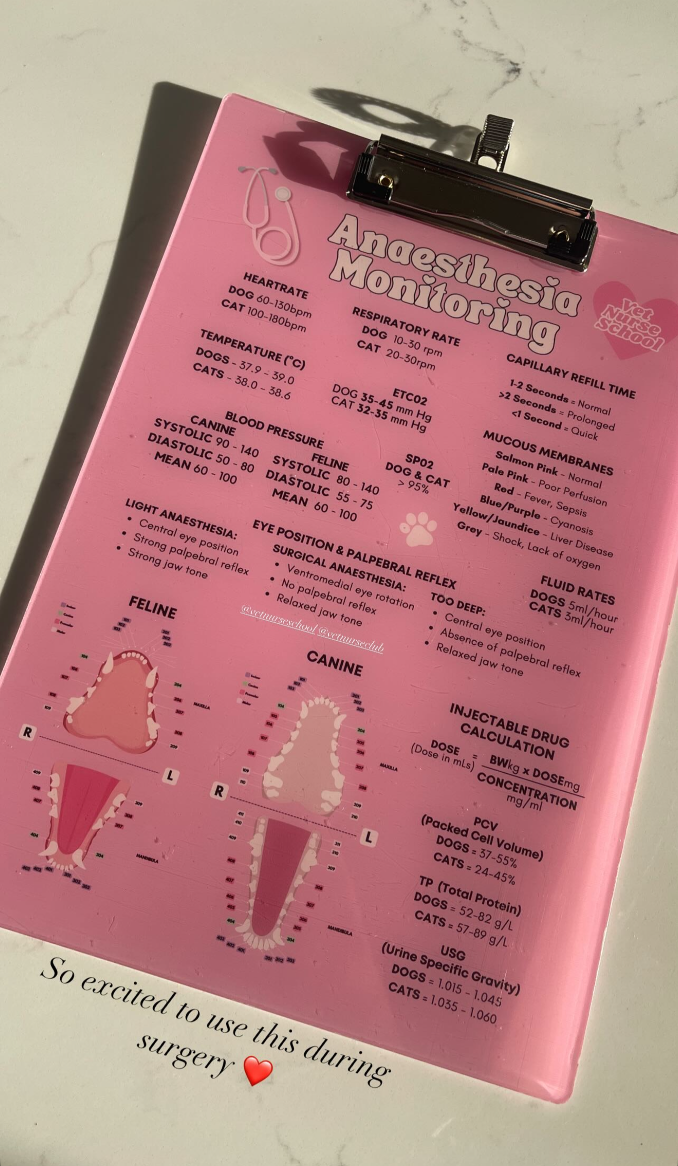 Anaesthetic Monitoring Clipboard - Pink