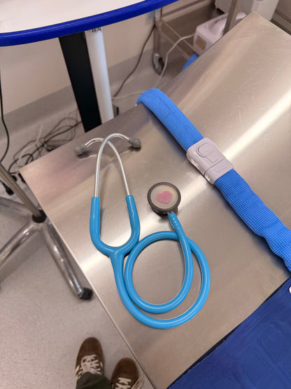 Vet Nurse Stethoscope - Baby Blue
