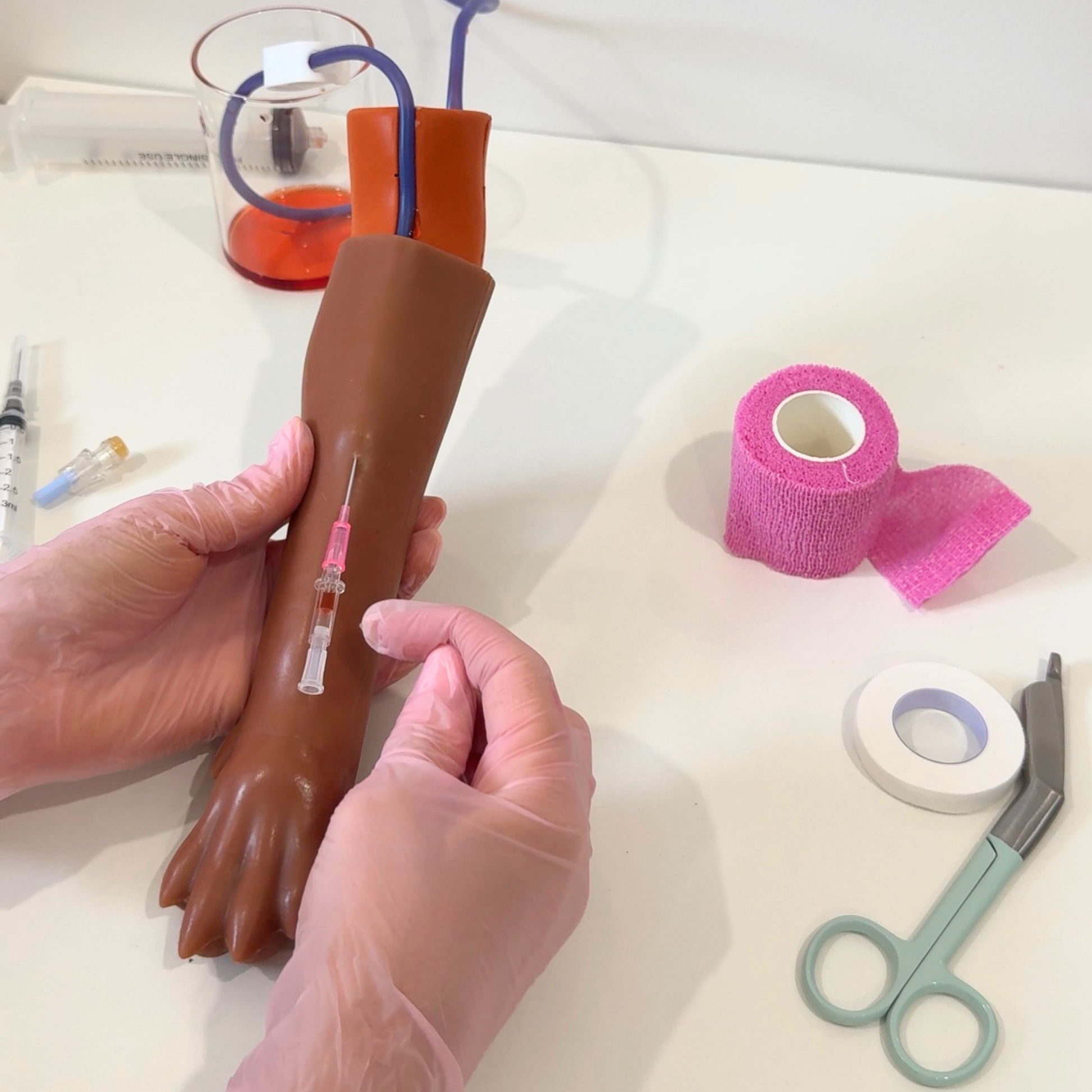 IV Canine Leg Training Kit with a realistic dog leg training arm, blood bag, syringe, bandages, and small medical accessories on a pink background with the text 'IV Canine Leg Training Kit' and 'VET NURSE SCHOOL'.