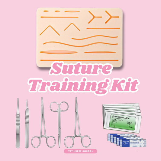 Suture Training Kit for Vet Nurses & Veterinarians