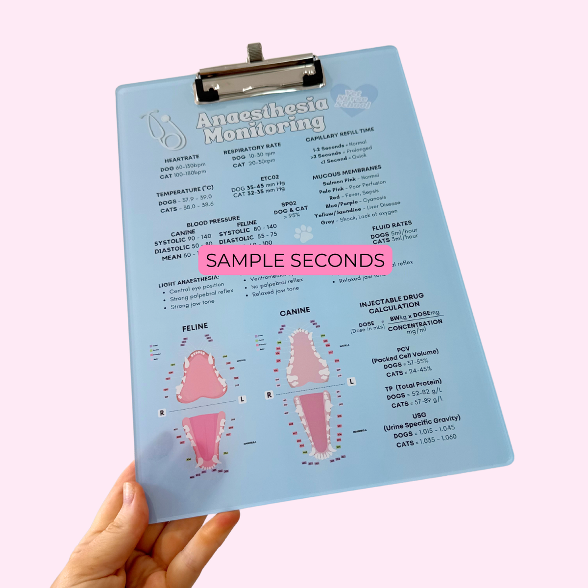 SAMPLES - Anaesthetic Monitoring Clipboard - Blue